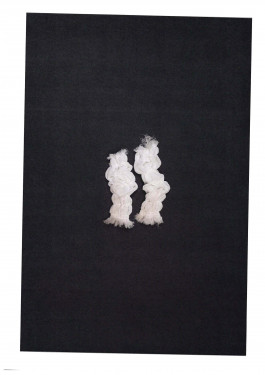 INCA ZAPATER (ゝ。∂）